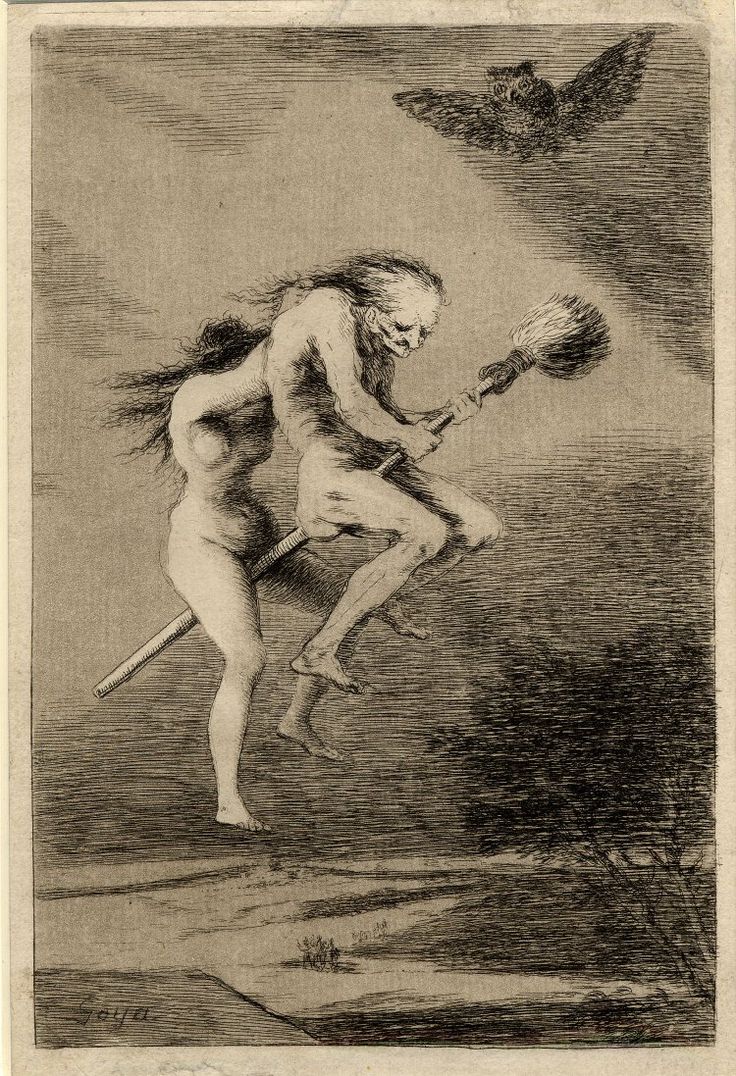 Goya witch flight